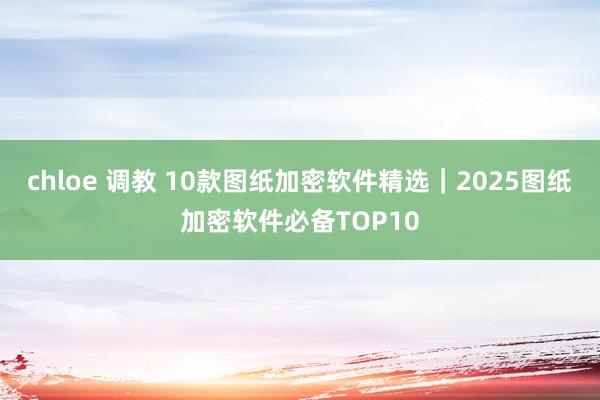 chloe 调教 10款图纸加密软件精选｜2025图纸加密软件必备TOP10