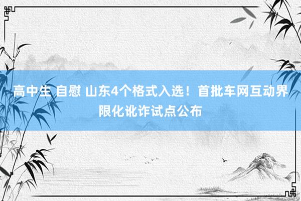 高中生 自慰 山东4个格式入选！首批车网互动界限化讹诈试点公布