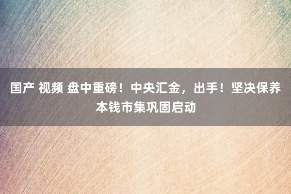 国产 视频 盘中重磅！中央汇金，出手！坚决保养本钱市集巩固启动