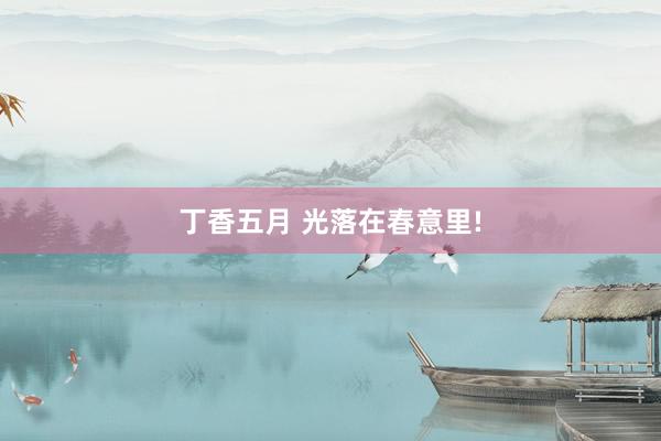 丁香五月 光落在春意里!