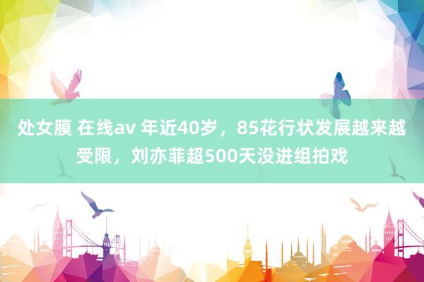 处女膜 在线av 年近40岁，85花行状发展越来越受限，刘亦菲超500天没进组拍戏