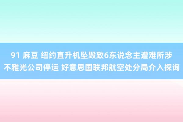 91 麻豆 纽约直升机坠毁致6东说念主遭难所涉不雅光公司停运 好意思国联邦航空处分局介入探询