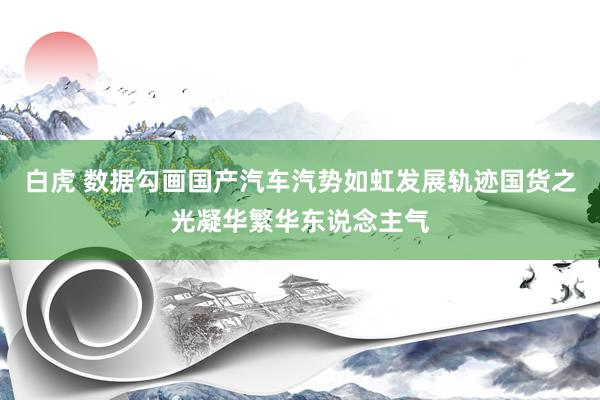 白虎 数据勾画国产汽车汽势如虹发展轨迹国货之光凝华繁华东说念主气