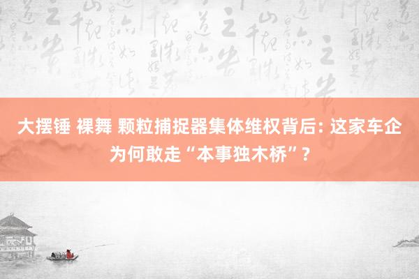 大摆锤 裸舞 颗粒捕捉器集体维权背后: 这家车企为何敢走“本事独木桥”?