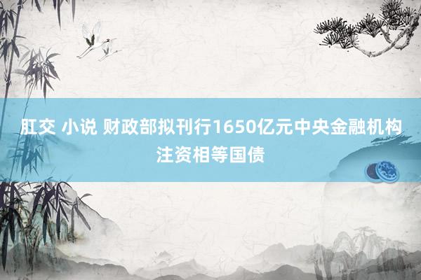 肛交 小说 财政部拟刊行1650亿元中央金融机构注资相等国债