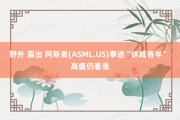 野外 露出 阿斯麦(ASML.US)事迹“休戚各半” 高盛仍看涨