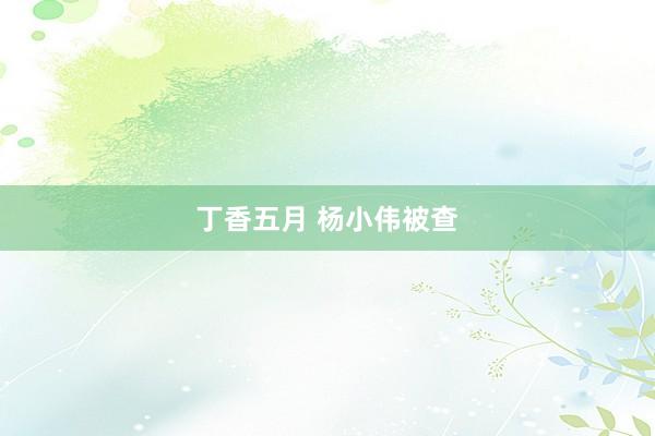 丁香五月 杨小伟被查