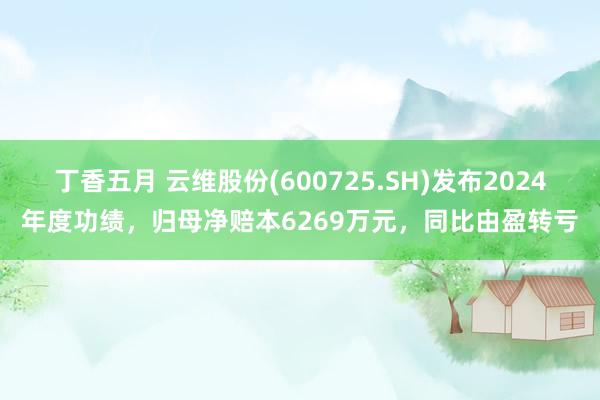 丁香五月 云维股份(600725.SH)发布2024年度功绩，归母净赔本6269万元，同比由盈转亏