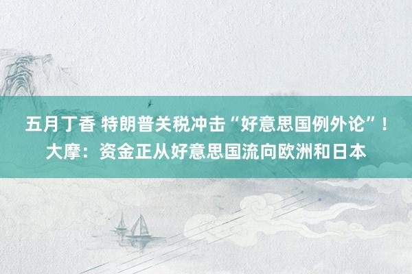 五月丁香 特朗普关税冲击“好意思国例外论”！大摩：资金正从好意思国流向欧洲和日本