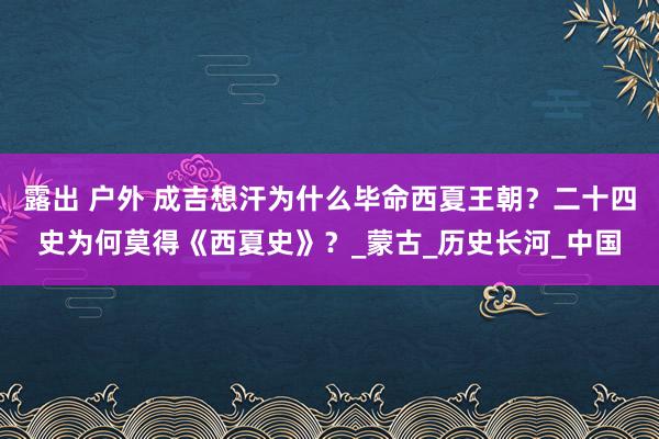 露出 户外 成吉想汗为什么毕命西夏王朝？二十四史为何莫得《西夏史》？_蒙古_历史长河_中国