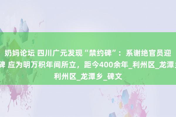 奶妈论坛 四川广元发现“禁约碑”：系谢绝官员迎送的石碑 应为明万积年间所立，距今400余年_利州区_龙潭乡_碑文