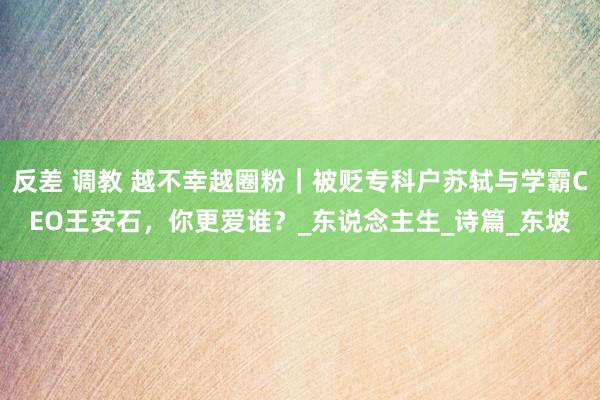反差 调教 越不幸越圈粉｜被贬专科户苏轼与学霸CEO王安石，你更爱谁？_东说念主生_诗篇_东坡