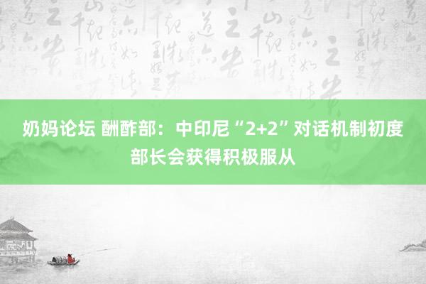 奶妈论坛 酬酢部：中印尼“2+2”对话机制初度部长会获得积极服从