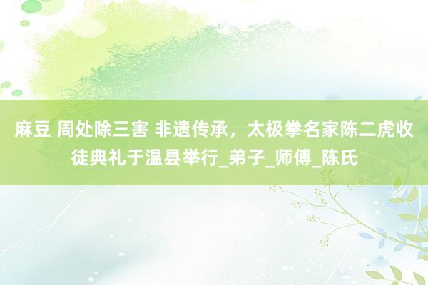 麻豆 周处除三害 非遗传承，太极拳名家陈二虎收徒典礼于温县举行_弟子_师傅_陈氏