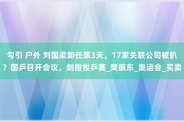 勾引 户外 刘国梁卸任第3天，17家关联公司被扒？国乒召开会议，剑指世乒赛_樊振东_奥运会_买卖