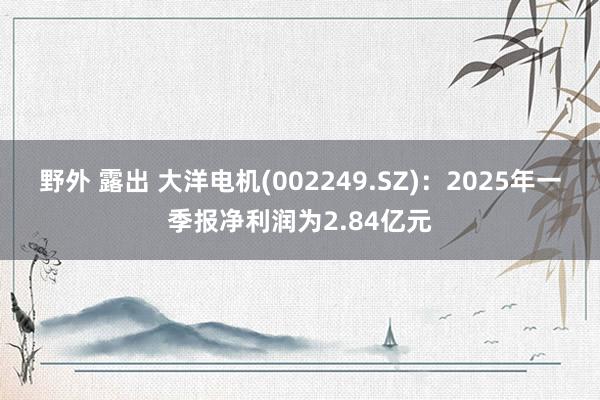 野外 露出 大洋电机(002249.SZ)：2025年一季报净利润为2.84亿元