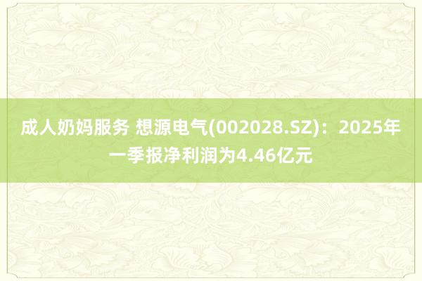 成人奶妈服务 想源电气(002028.SZ)：2025年一季报净利润为4.46亿元