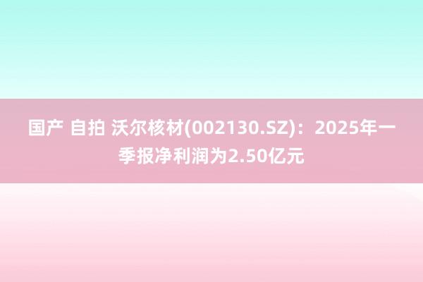 国产 自拍 沃尔核材(002130.SZ)：2025年一季报净利润为2.50亿元