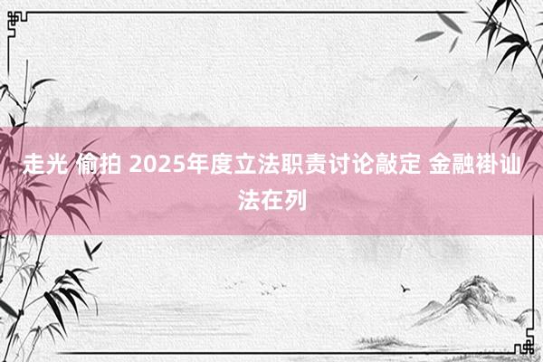 走光 偷拍 2025年度立法职责讨论敲定 金融褂讪法在列
