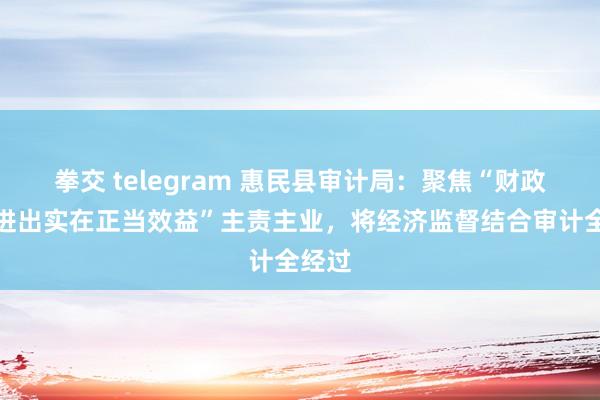 拳交 telegram 惠民县审计局：聚焦“财政财务进出实在正当效益”主责主业，将经济监督结合审计全经过