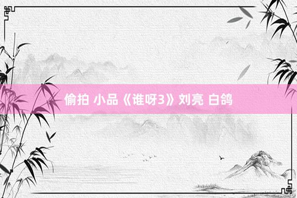 偷拍 小品《谁呀3》刘亮 白鸽