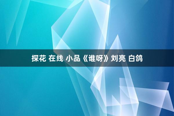 探花 在线 小品《谁呀》刘亮 白鸽